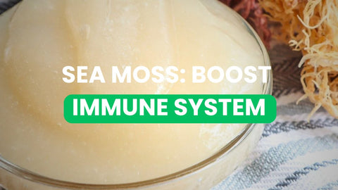 10 Ways To Boost Your Immune System - CGI Green