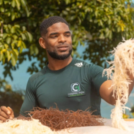 sea moss supplement