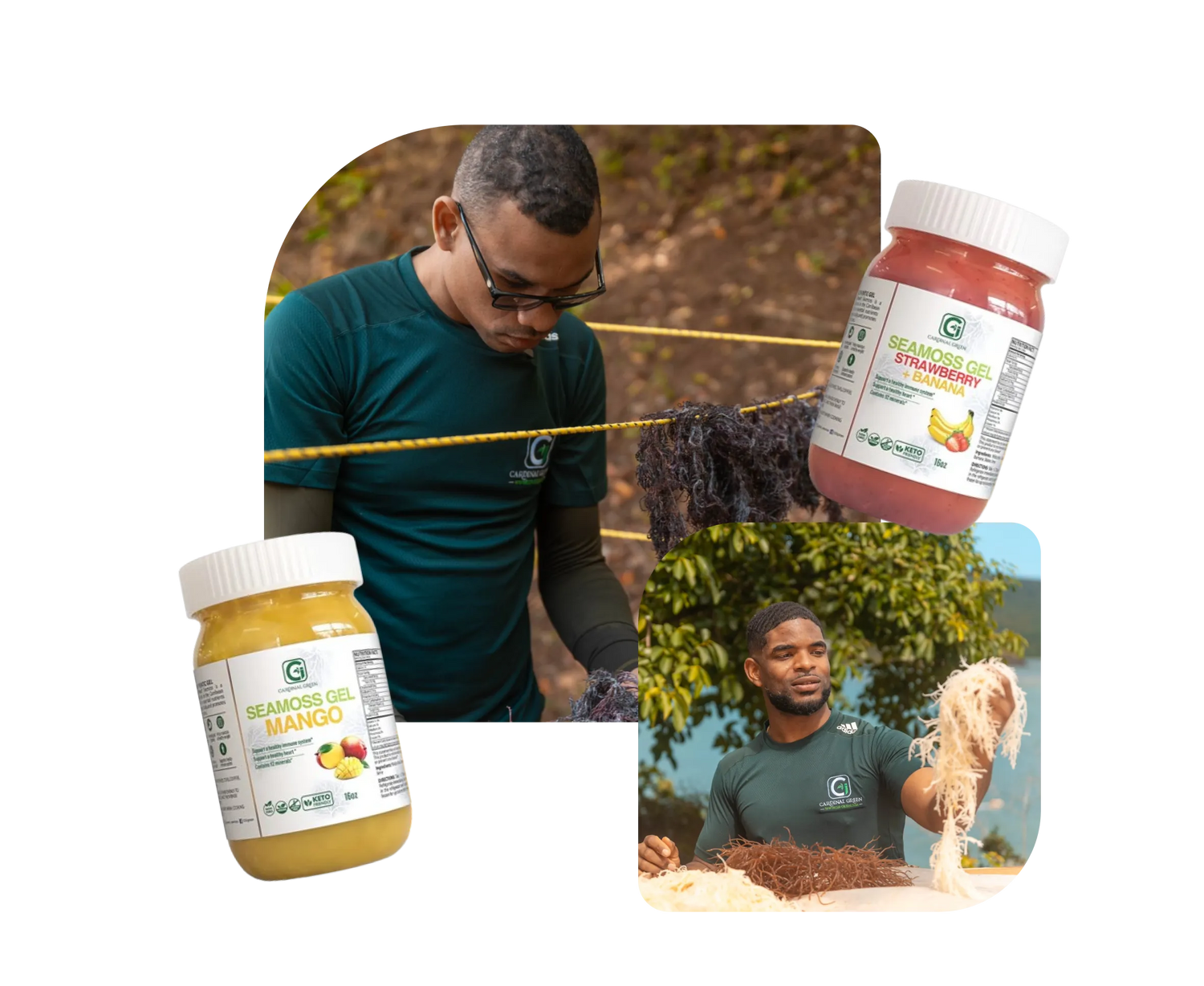 Premium Quality Sea Moss