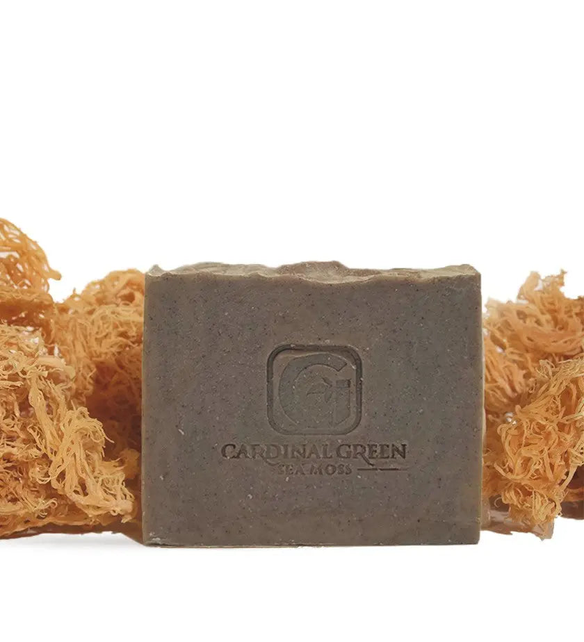 Aloe Vera Sea Moss Soap (Fragrance Free) CGI Green