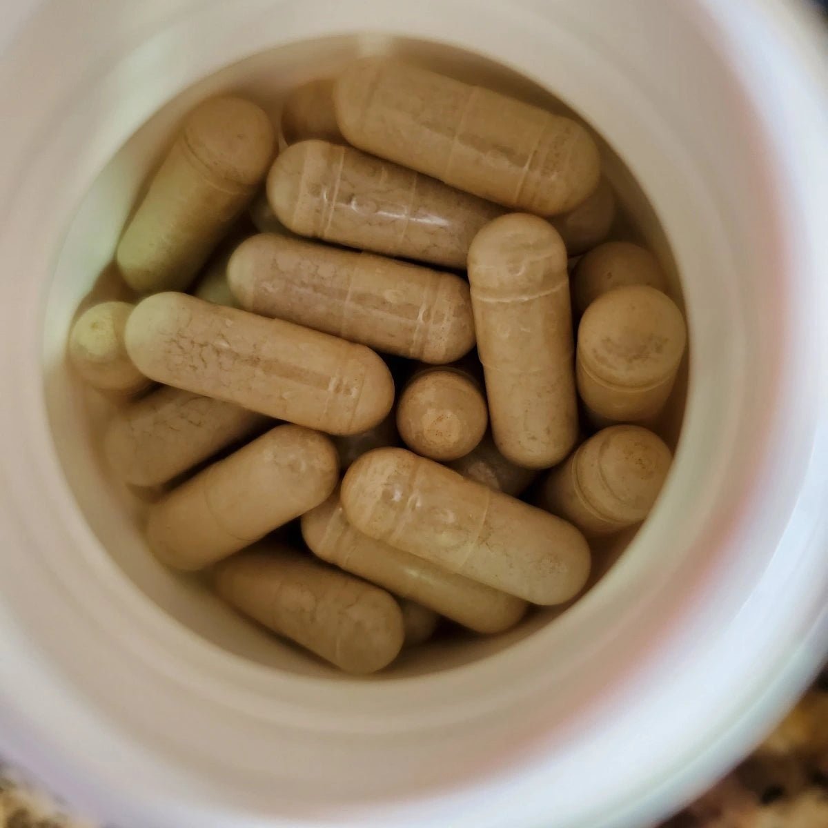 Wholesale Sea Moss, Bladderwrack, Burdock Root - CGI Green