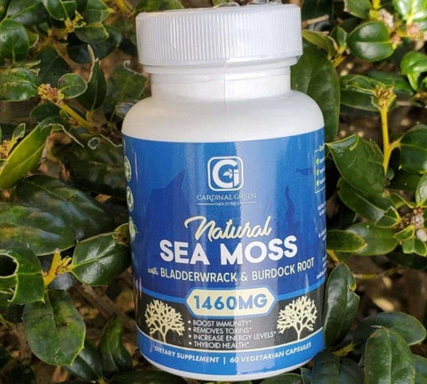 3-60ct Natural Sea Moss With Bladderwrack & Burdock Root Supplements 1460mg - CGI Green