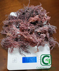 4oz Purple Natural Dried Sea Moss - CGI Green