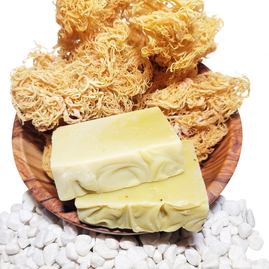 20 - 60+ Bars Ocean Gold Sea Moss Soap - Bulk Orders - Whole Sale