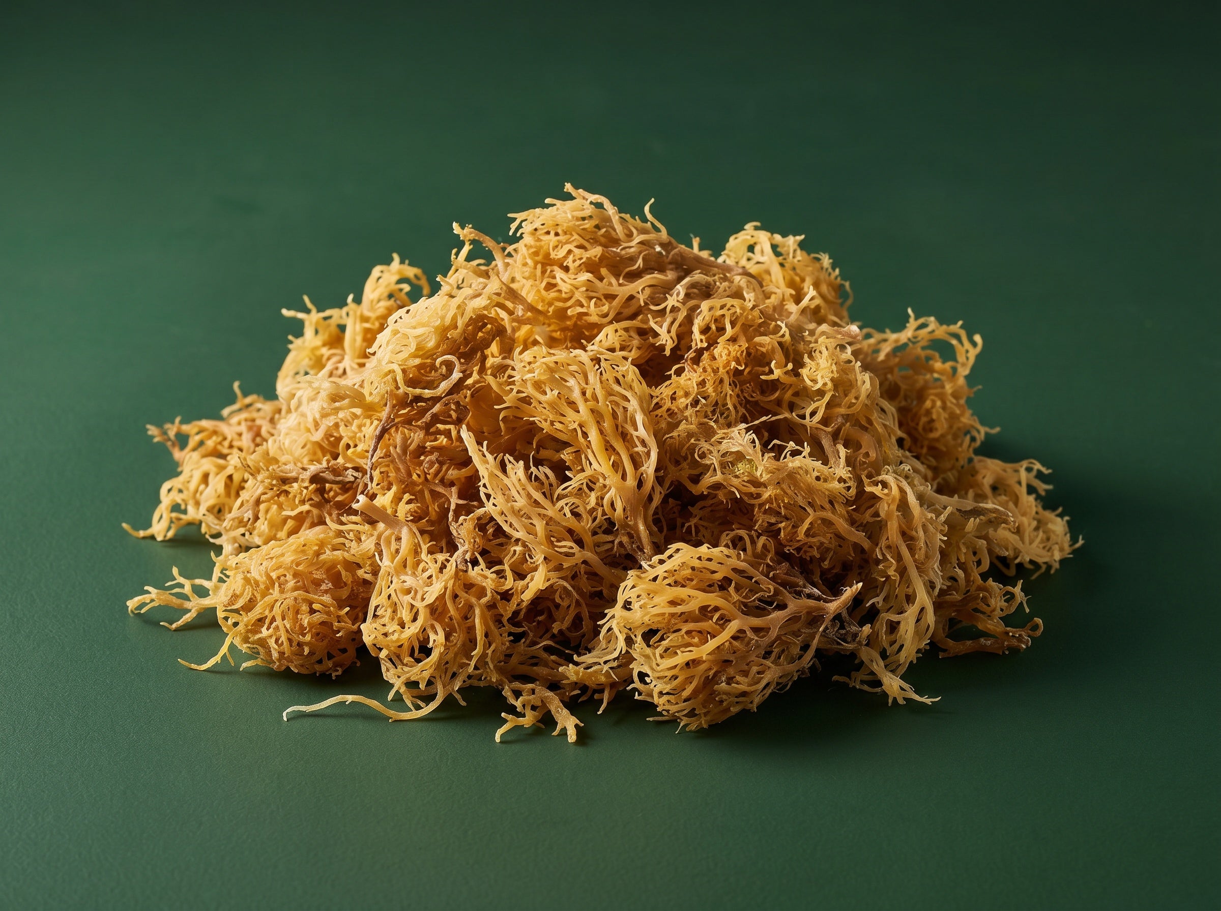 Dried sea moss