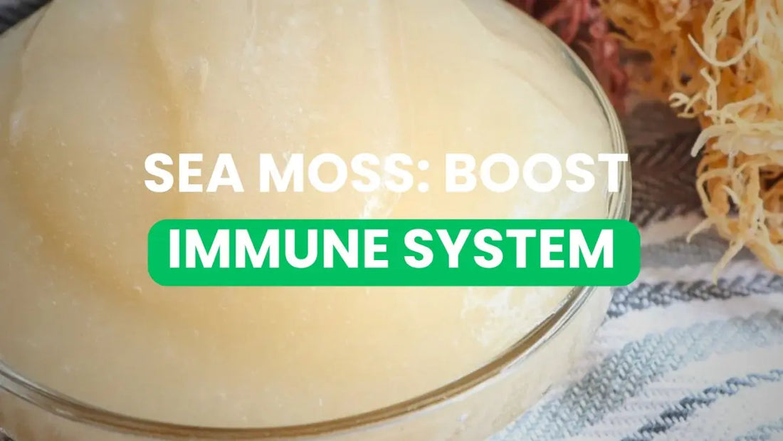10 Ways To Boost Your Immune System - CGI Green