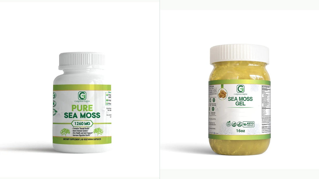 Sea moss capsules and sea moss gel side by side — wildcrafted Caribbean by CGI-Green.