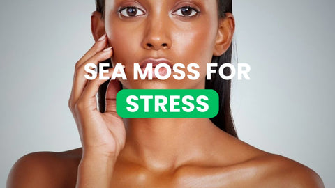 Fight Off Stress with Sea Moss - CGI Green