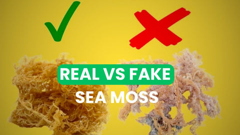 Real Vs. Fake Sea Moss: How to Know the Difference - CGI Green