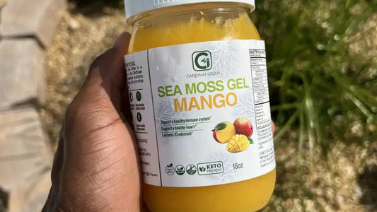 CGI-Green Mango Sea Moss Gel — wildcrafted Caribbean sea moss infused with real mango, held outdoors.