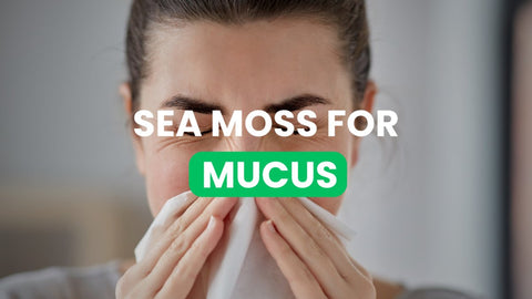The Truth about Mucus and 3 ways Sea Moss can Boost the Immune System - CGI Green