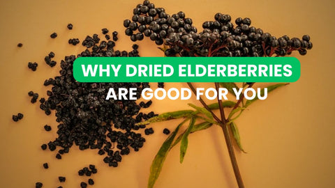 Why Dried Elderberries are Good For You - CGI Green