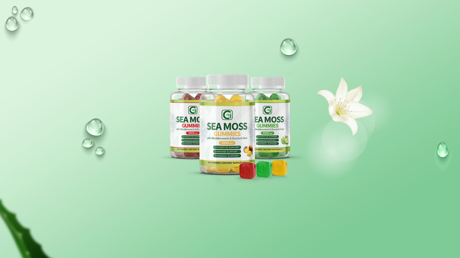 Sea Moss Gummies