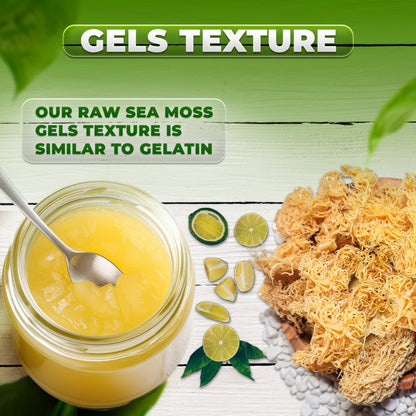 1-Gold + 1-Purple Sea Moss Gel - CGI Green