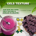 1-Gold + 1-Purple Sea Moss Gel - CGI Green