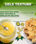 2-Gold Sea Moss Gel - CGI Green