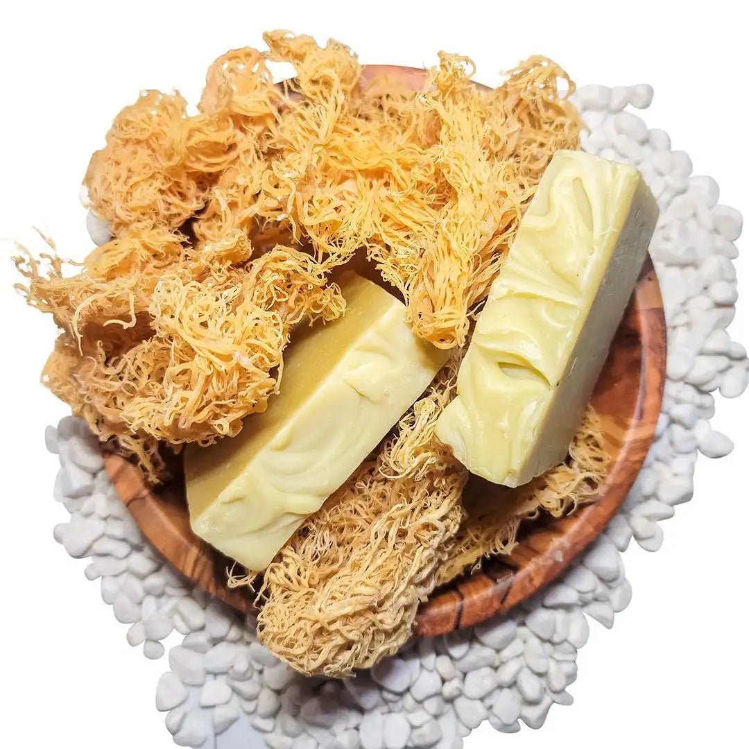 20 - 60+ Bars Ocean Gold Sea Moss Soap - Bulk Orders - Whole Sale - CGI Green
