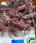 4oz Purple Dried Natural Sea Moss - CGI Green