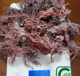 4oz Purple Dried Natural Sea Moss - CGI Green