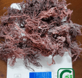 60ct Irish Sea Moss Supplements - CGI Green