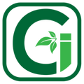 CGI Green