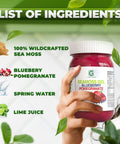 Blueberry Pomegranate Sea Moss Gel - CGI Green