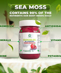 Blueberry Pomegranate Sea Moss Gel - CGI Green