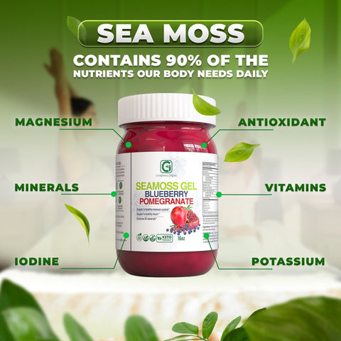 Blueberry Pomegranate Sea Moss Gel - CGI Green