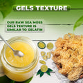 Gold Sea Moss Gel - CGI Green
