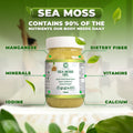 Gold Sea Moss Gel - CGI Green