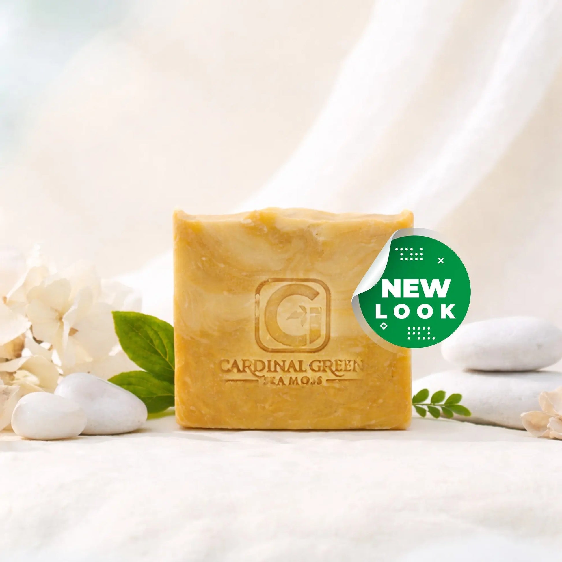 Sea Moss Skincare Bundle CGI Green