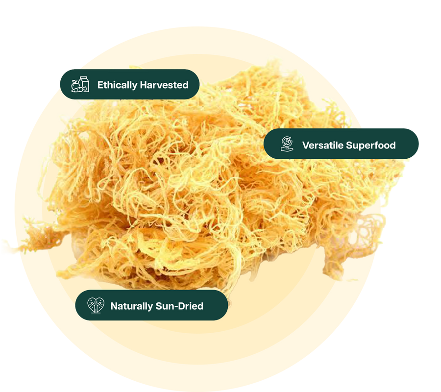 Dried sea moss