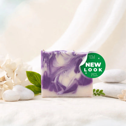 Sea Moss Skincare Bundle CGI Green