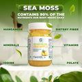 Mango + Pineapple Sea Moss Gel - CGI Green