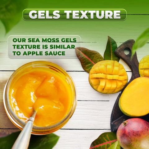 Mango + Pineapple Sea Moss Gel - CGI Green