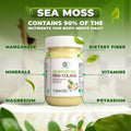 Pina Colada Sea Moss Gel - CGI Green