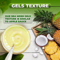 Pina Colada Sea Moss Gel - CGI Green