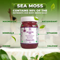 Purple Sea Moss Gel - CGI Green