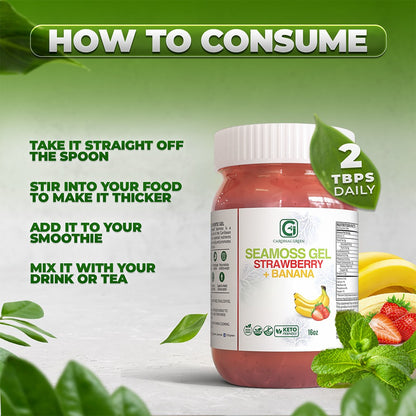 Tropical Fusion Bundle