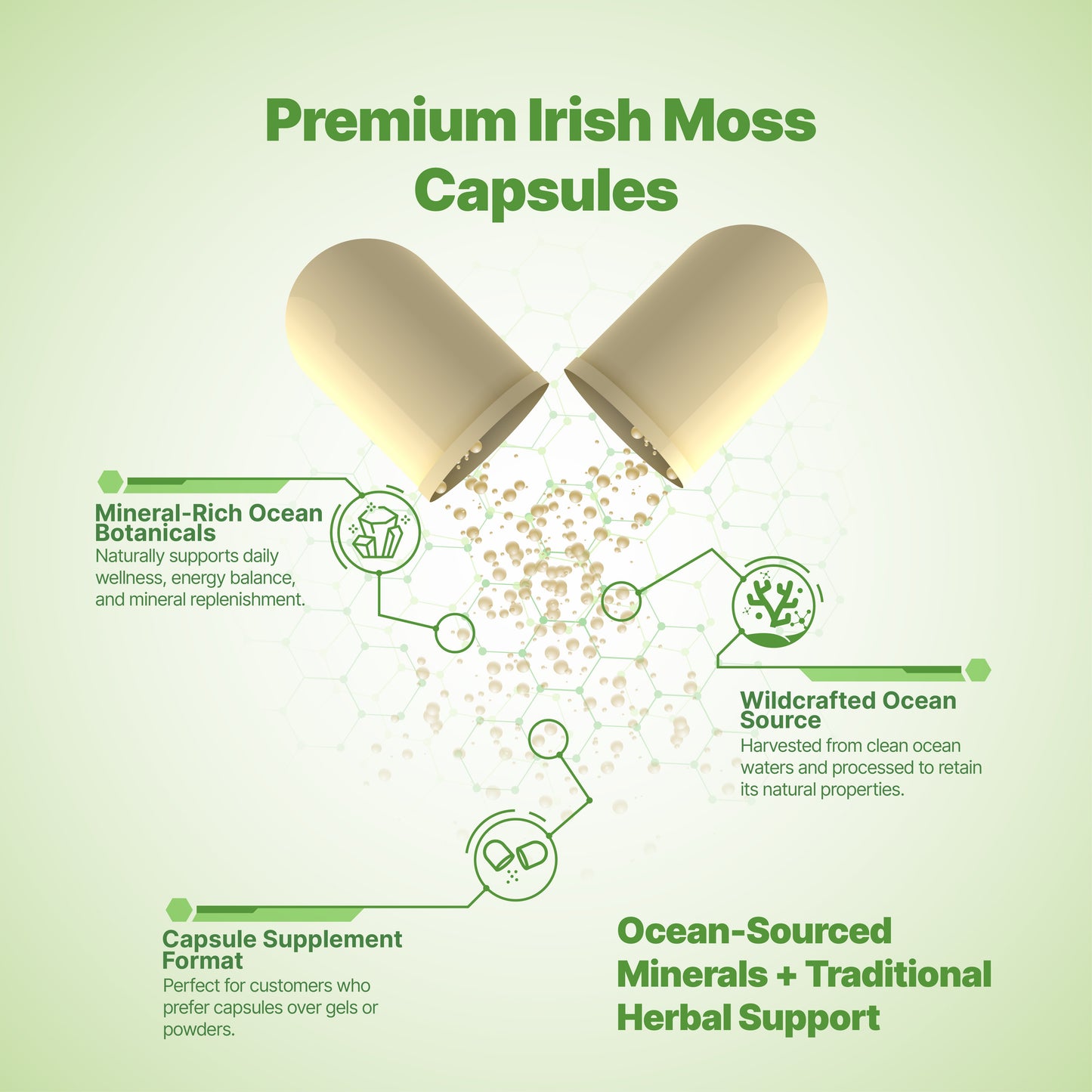 800 - 2400+ ct Irish Moss Sea Capsules - Bulk Orders - Wholesale