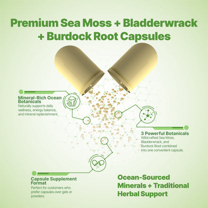 800 - 2400+ ct Sea Moss, Bladderwrack, Burdock Root- Bulk Orders - Wholesale
