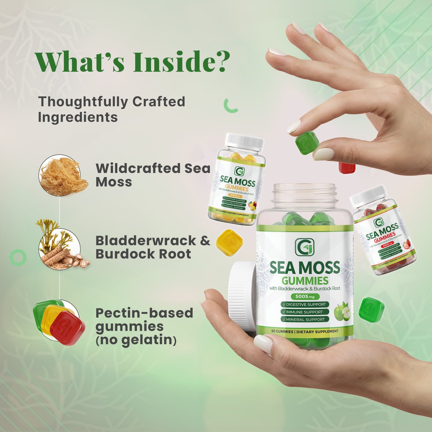 Sea Moss Gummies Variety Bundle