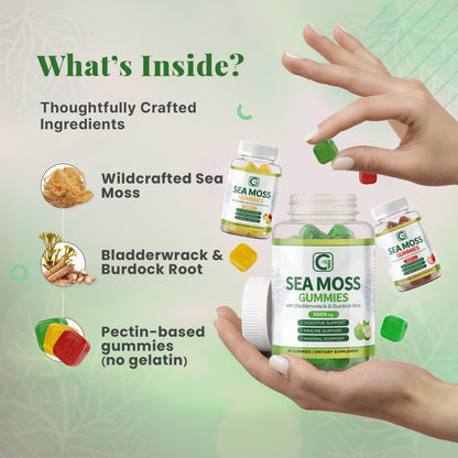 Sea Moss Gummies Variety Bundle