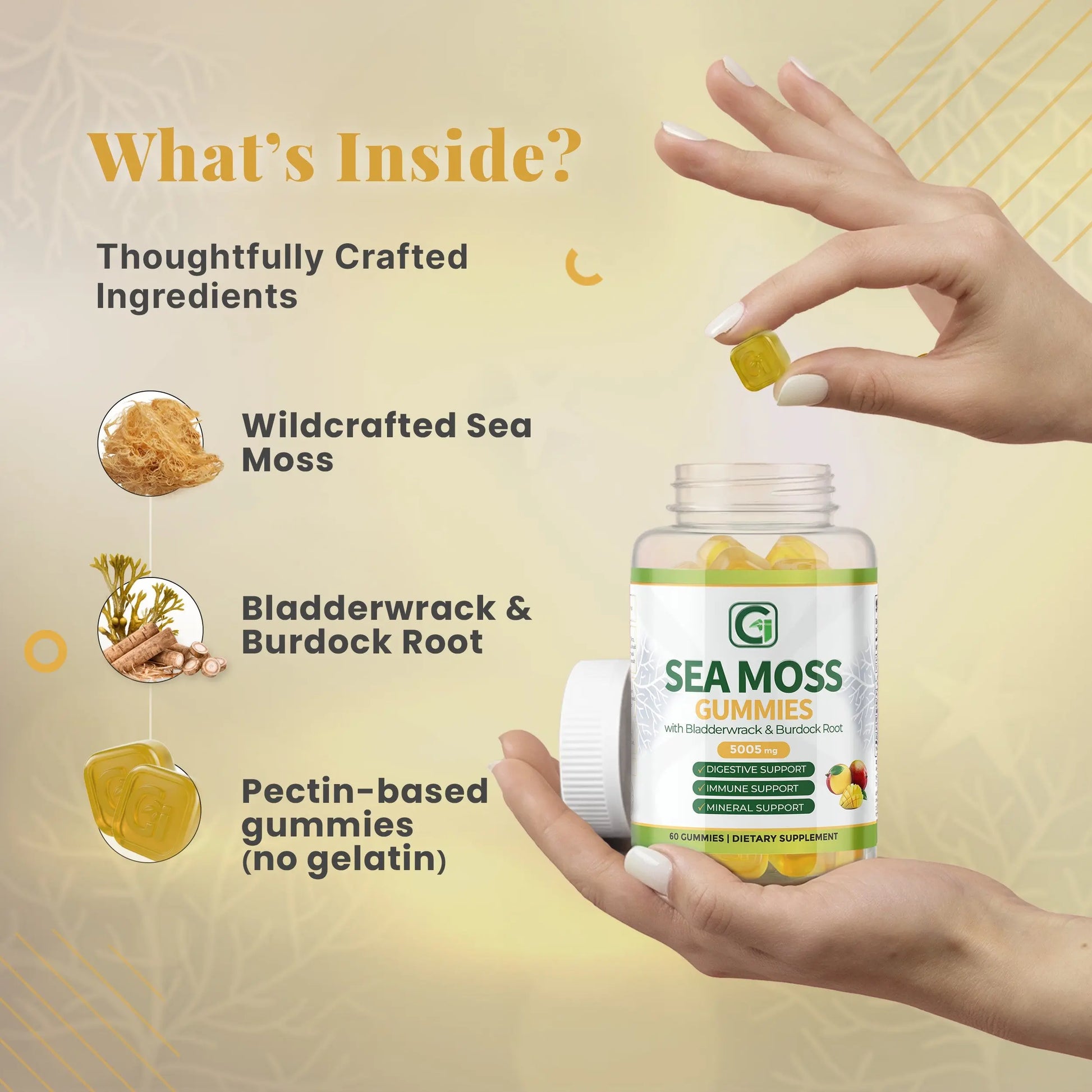 Mango Sea Moss Gummies CGI Green