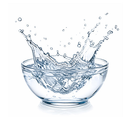 Purified Water