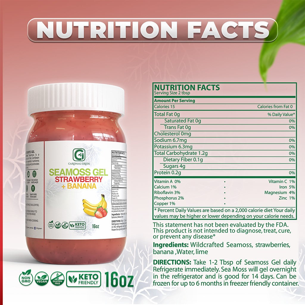 Tropical Fusion Bundle