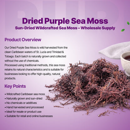 5lb - 25lb + Dried Wildcrafted Purple Sea Moss - Bulk Orders - Wholesale