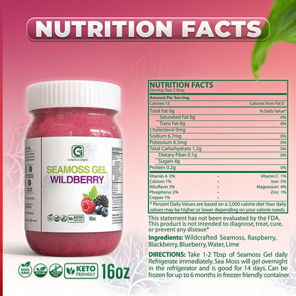 Tropical Fusion Bundle