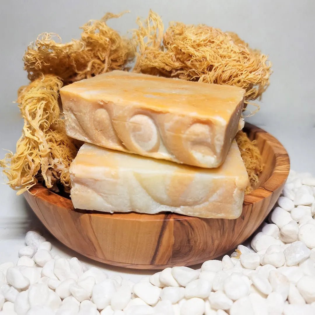 Sea Moss Soap Bundle - CGI Green