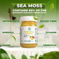 Strawberry Banana + Mango Sea Moss Gel - CGI Green